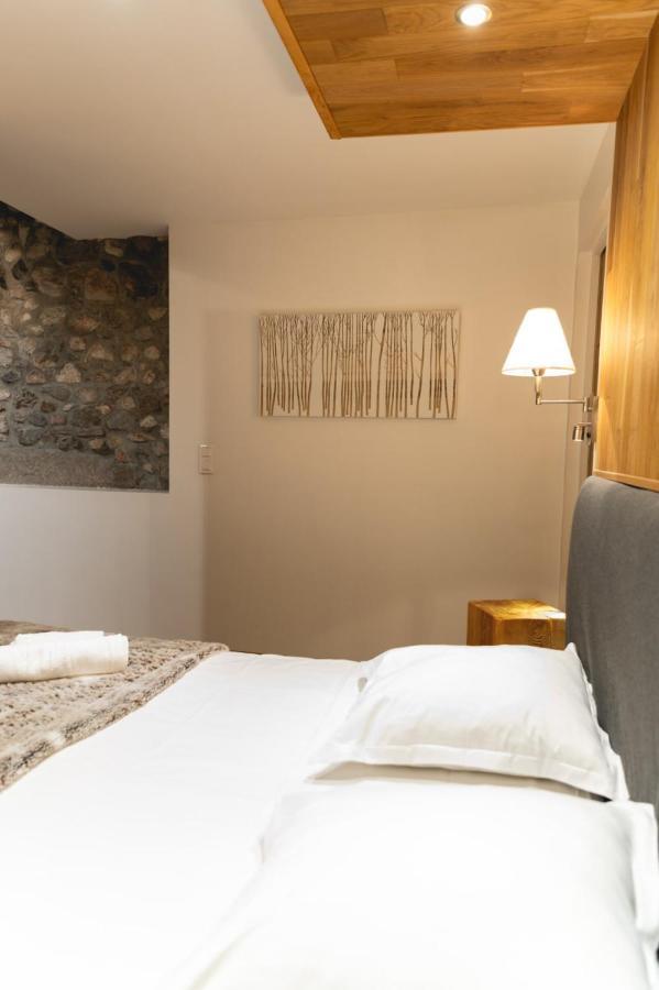 La Cour Filaterie - Suite Au D'Annecy Pdj En Option Exterior foto